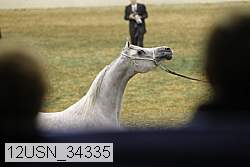 12usn_34335 proof