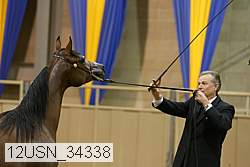 12usn_34338 proof