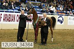 12usn_34364 proof