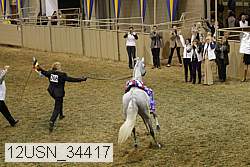 12usn_34417 proof