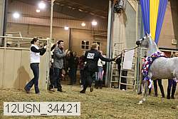 12usn_34421 proof