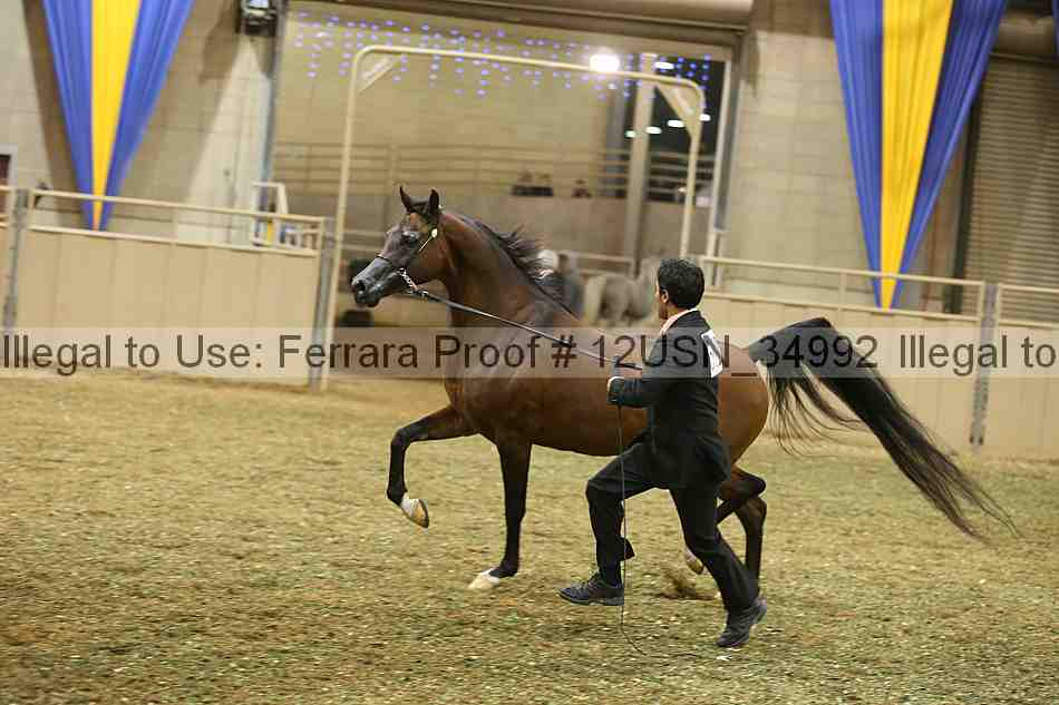 Proof 12usn_34992
