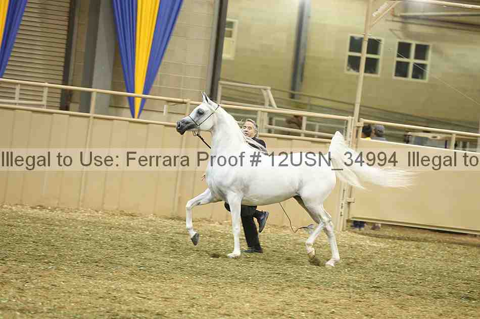 Proof 12usn_34994