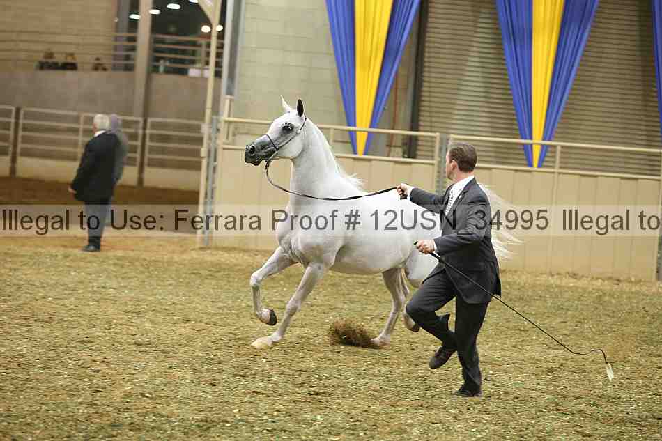 Proof 12usn_34995