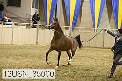 12usn_35000 proof