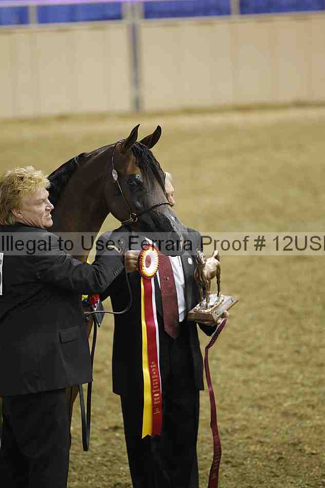 Proof 12usn_35061