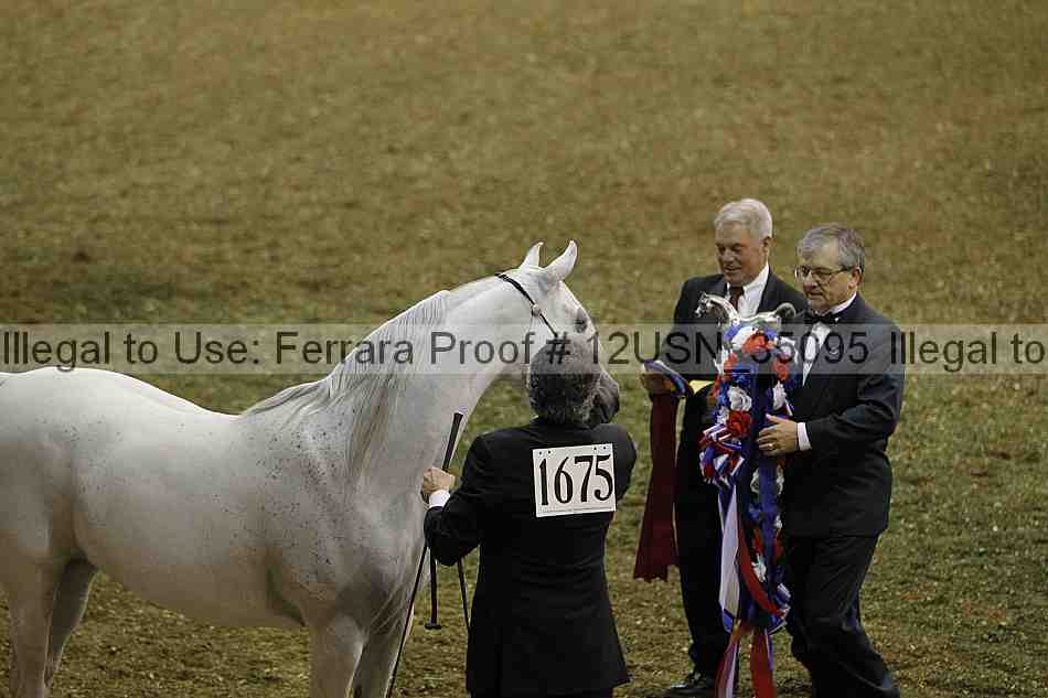 Proof 12usn_35095