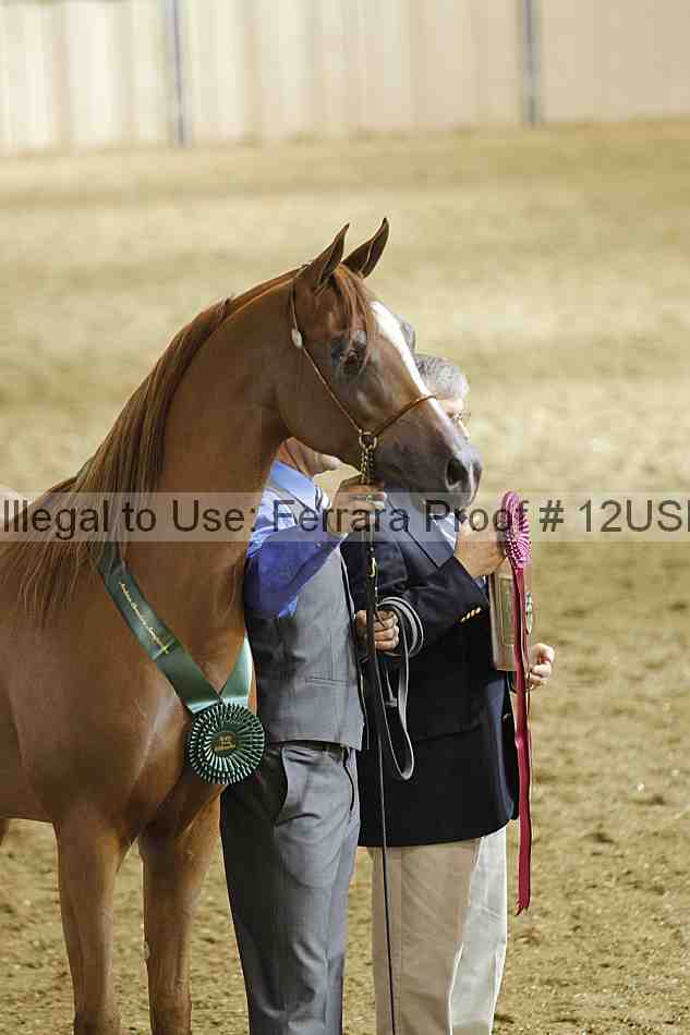 Proof 12usn_37997