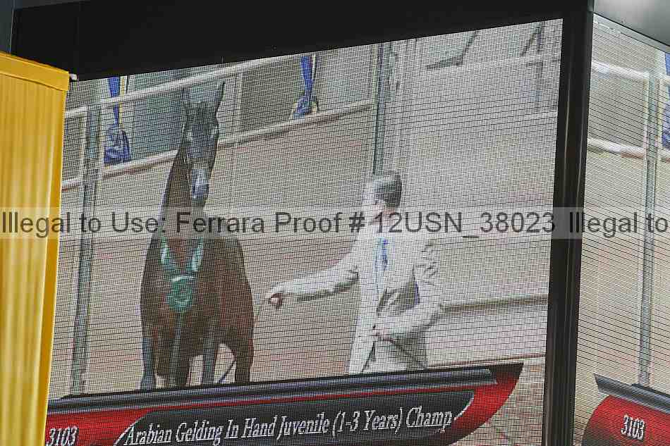 Proof 12usn_38023