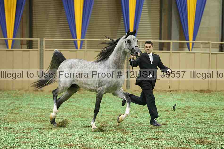 Proof 12usn_39557