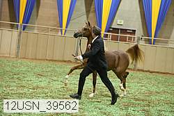 12usn_39562 proof