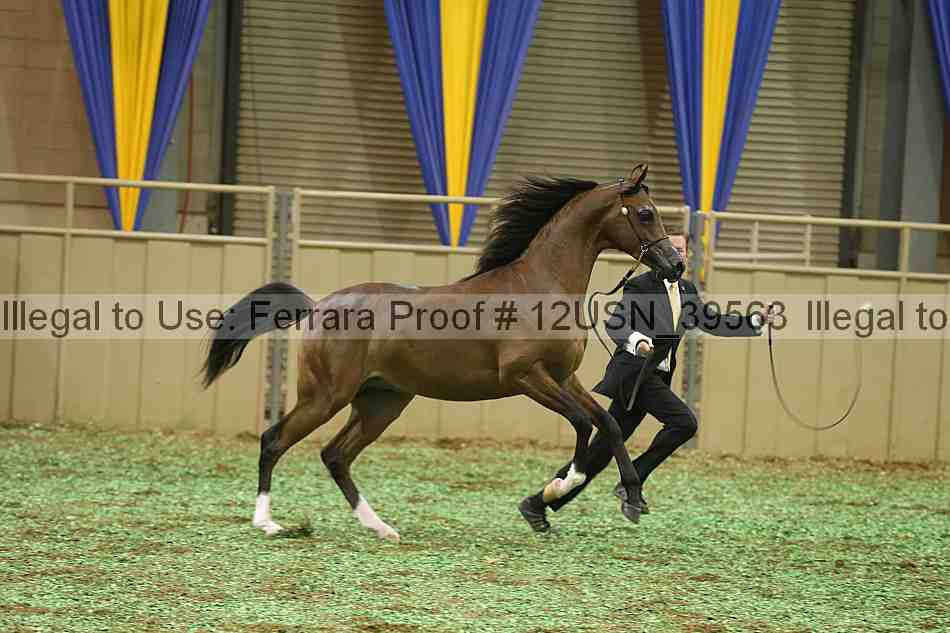 Proof 12usn_39563