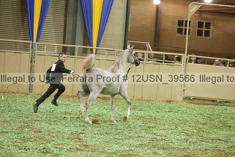 Proof 12usn_39566