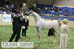 12usn_39585 proof
