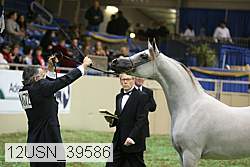 12usn_39586 proof