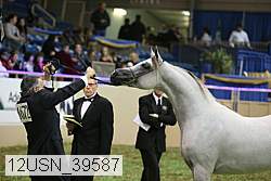 12usn_39587 proof