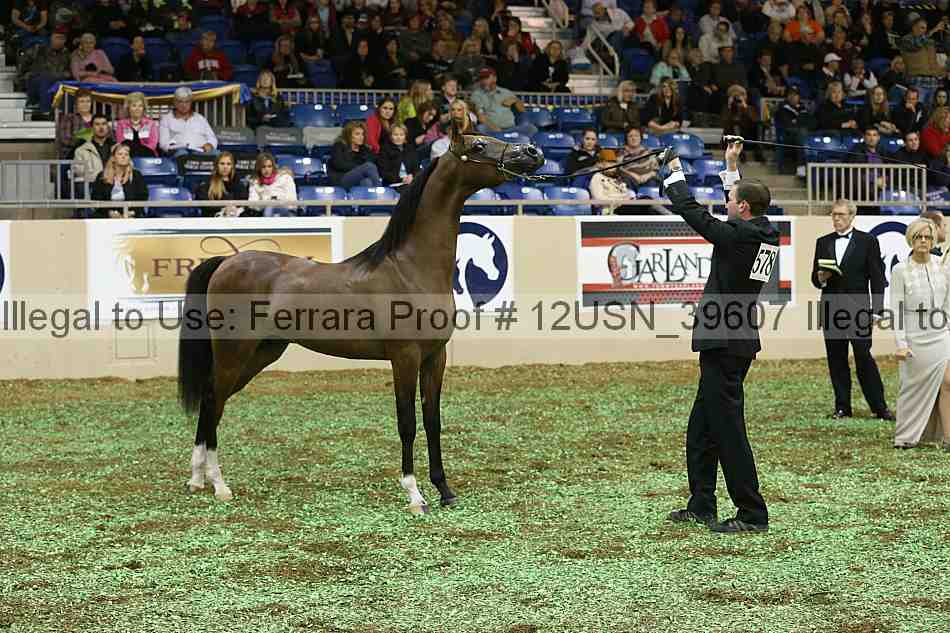 Proof 12usn_39607