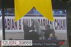 12usn_39668 proof