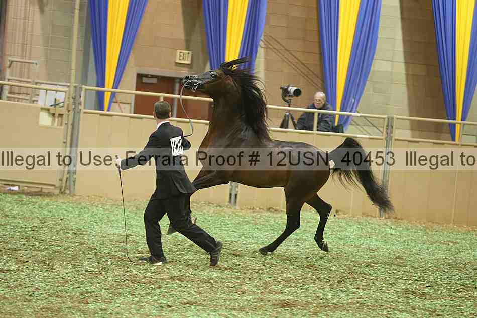 Proof 12usn_40453
