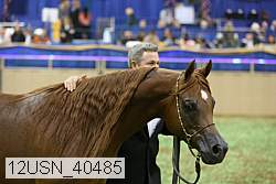 12usn_40485 proof