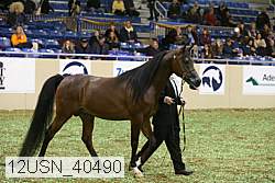 12usn_40490 proof