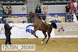 12usn_26066 proof
