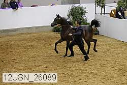 12usn_26089 proof