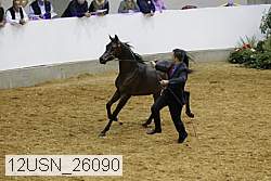 12usn_26090 proof