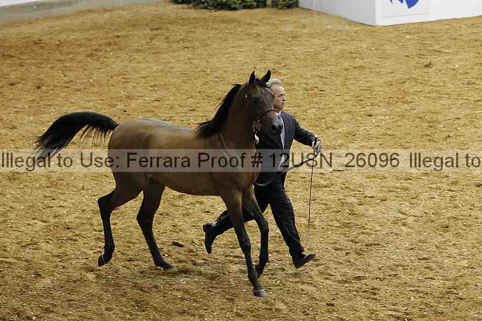 Proof 12usn_26096