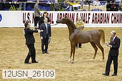 12usn_26109 proof