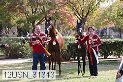 12usn_31343 proof