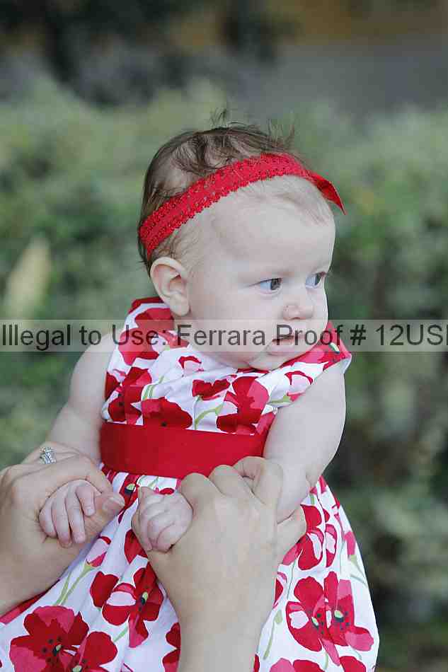 Proof 12usn_07641