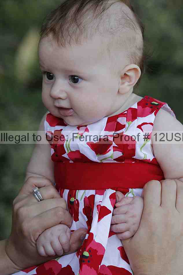 Proof 12usn_07646