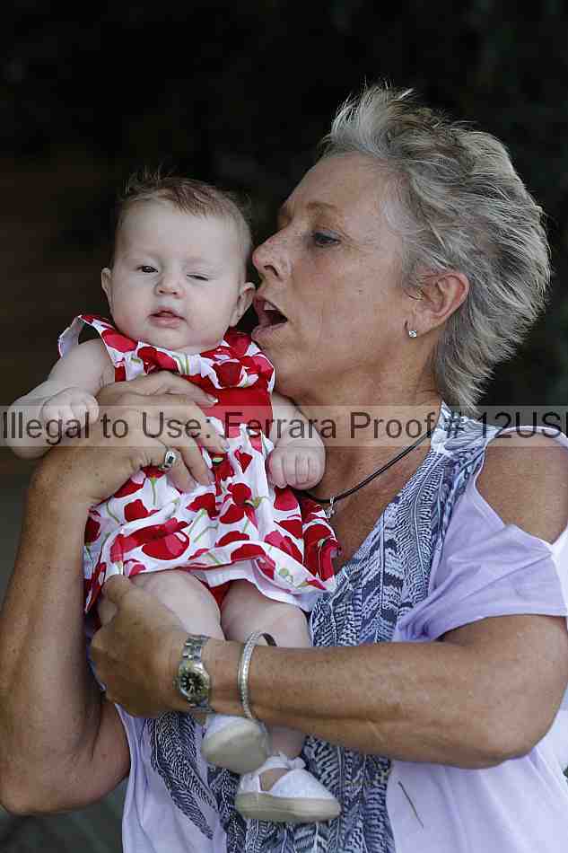 Proof 12usn_07649