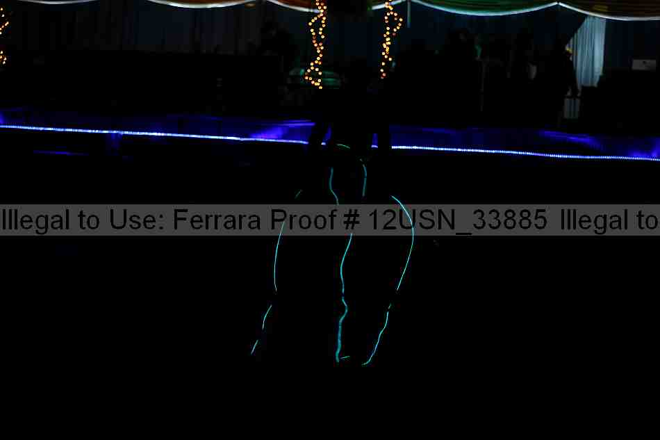 Proof 12usn_33885