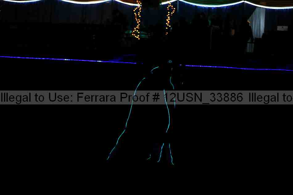 Proof 12usn_33886