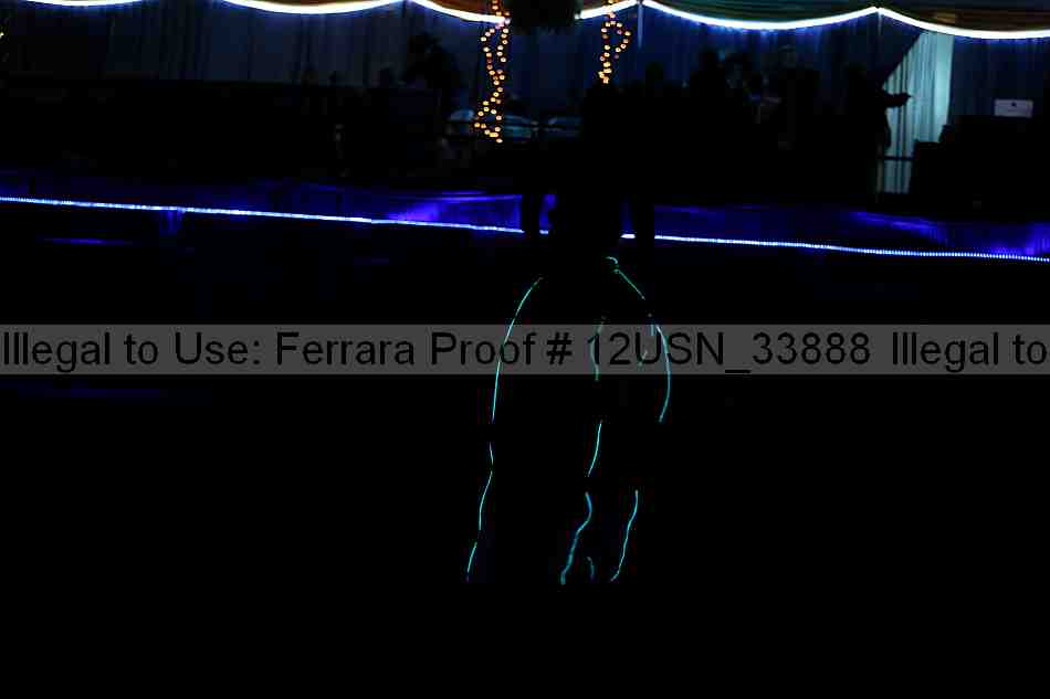 Proof 12usn_33888
