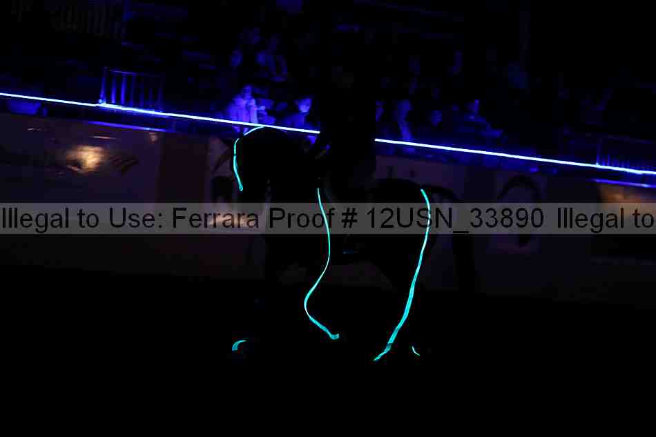 Proof 12usn_33890