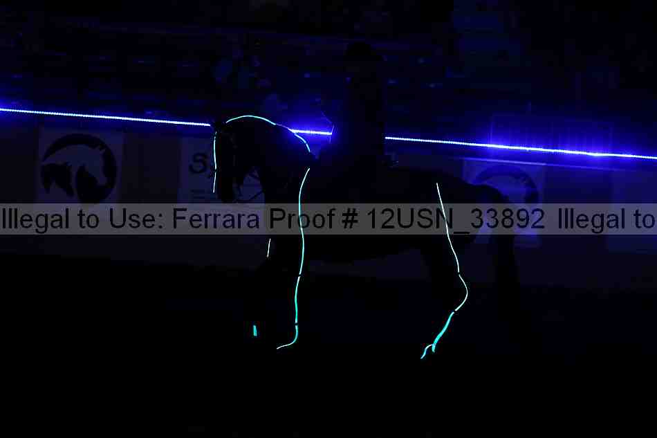 Proof 12usn_33892