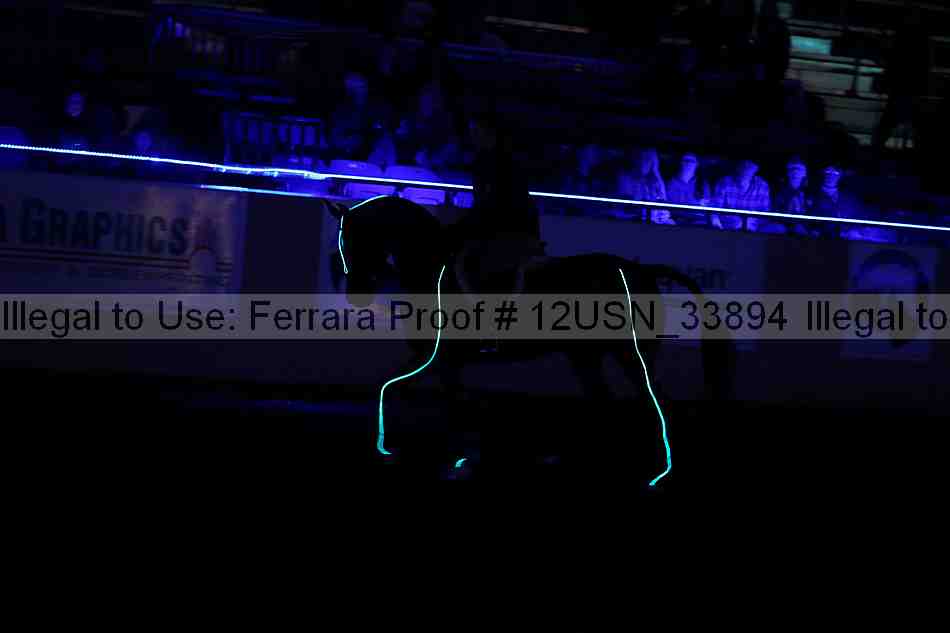 Proof 12usn_33894