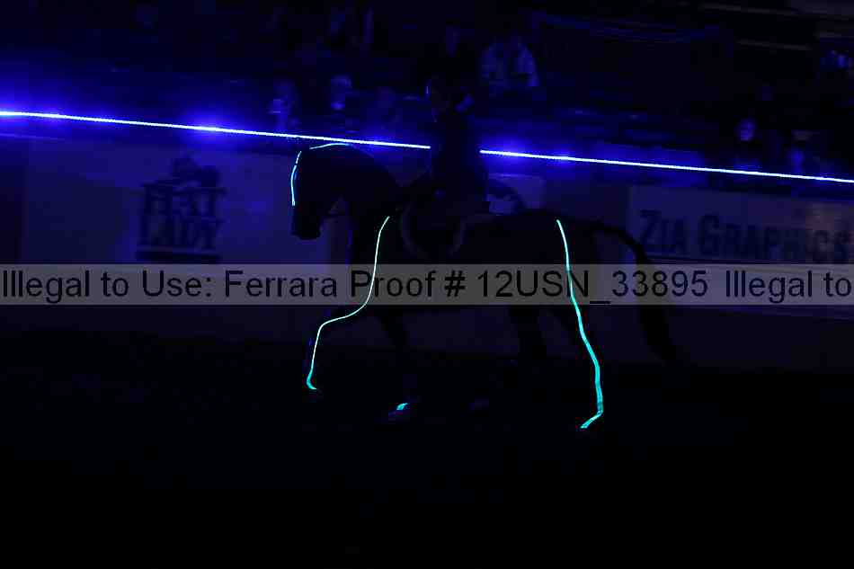 Proof 12usn_33895