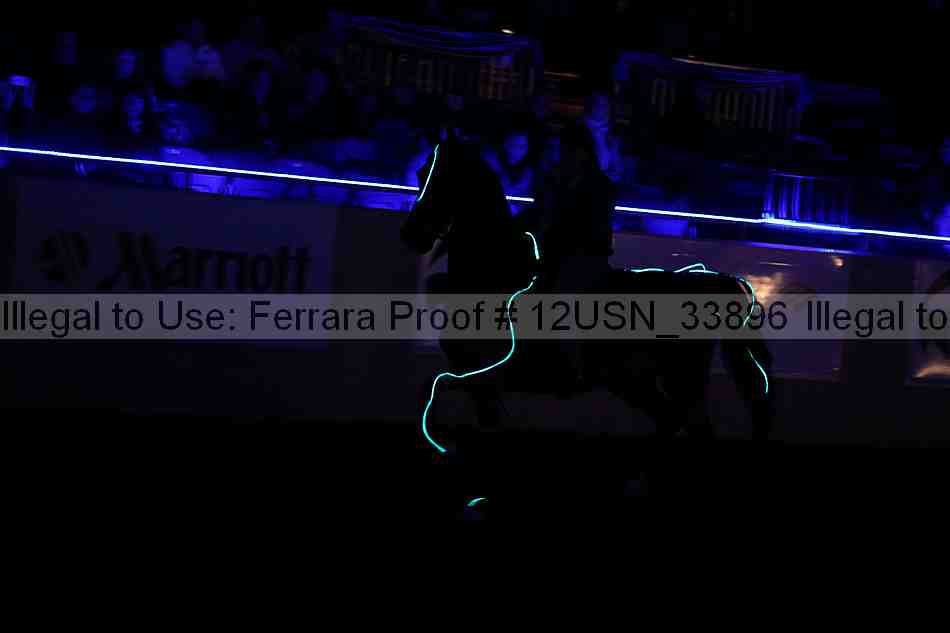 Proof 12usn_33896