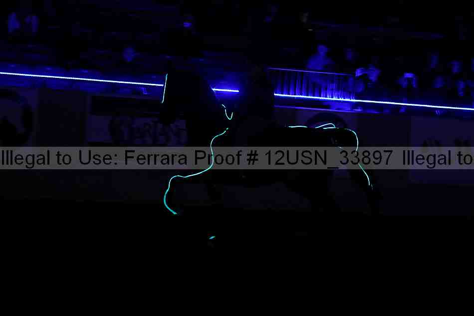 Proof 12usn_33897