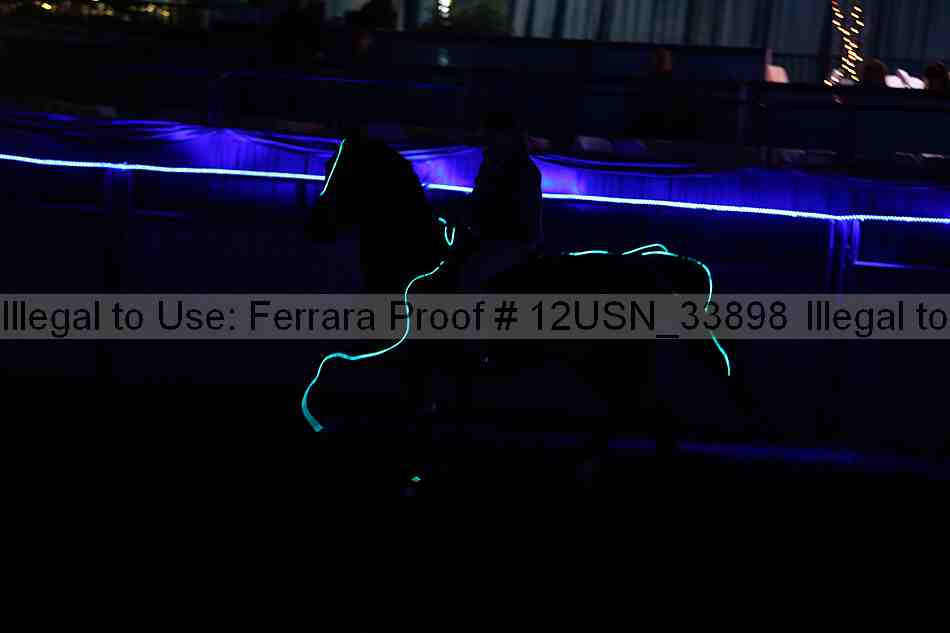 Proof 12usn_33898