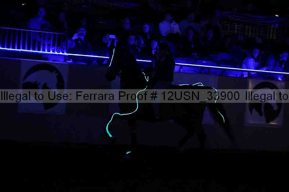Proof 12usn_33900