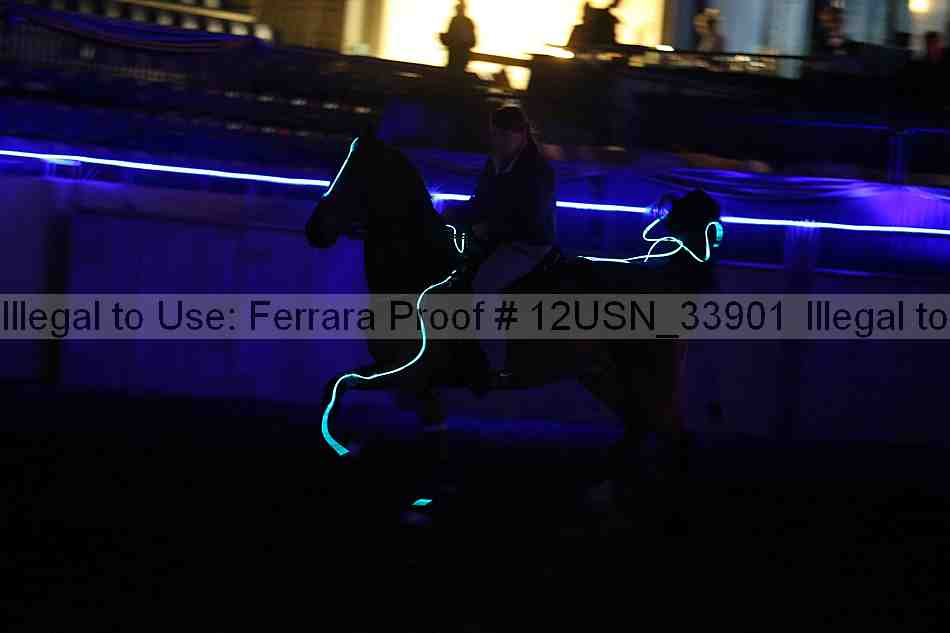 Proof 12usn_33901