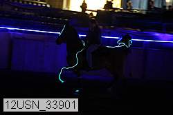 12usn_33901 proof