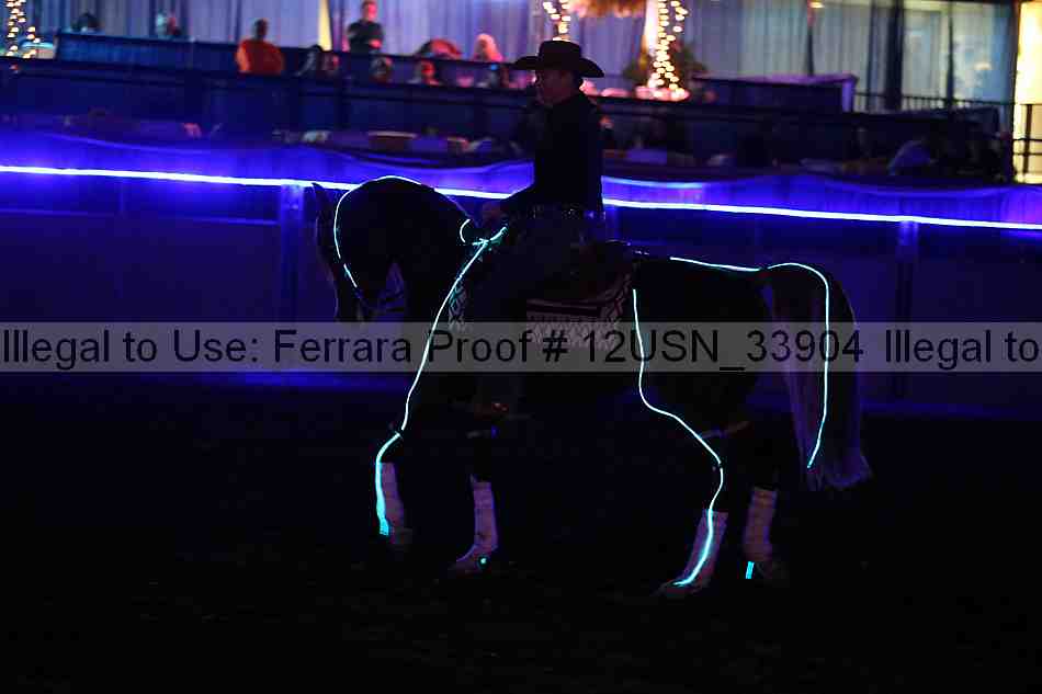 Proof 12usn_33904