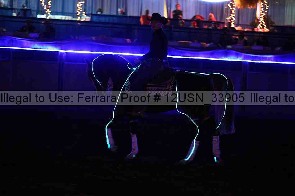 Proof 12usn_33905