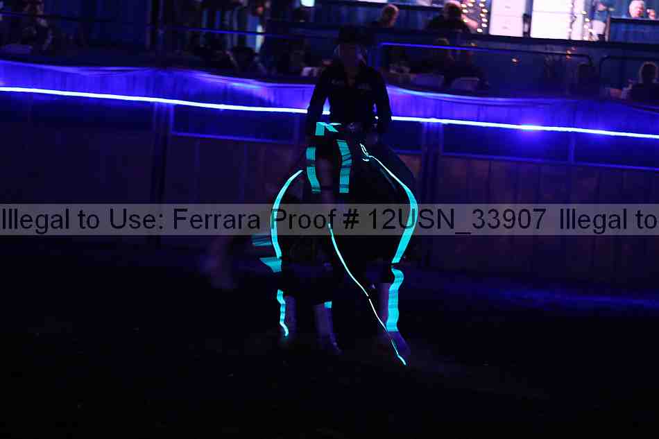 Proof 12usn_33907